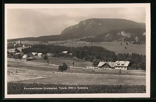 AK Dreistetten, Totalansicht