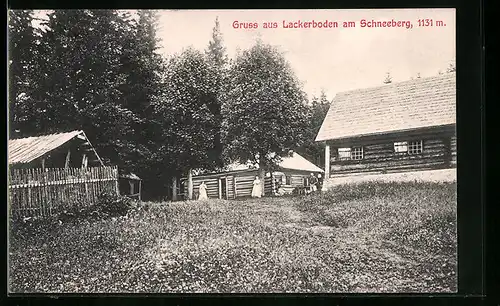 AK Reichenau, Lackerboden am Schneeberg