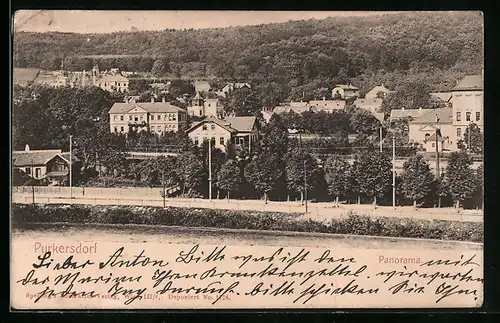 AK Purkersdorf, Panorama des Ortes