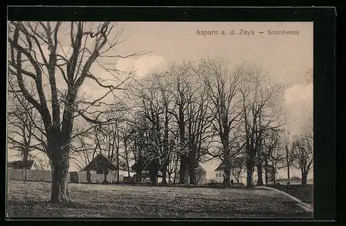 AK Aspam /Zaya, An der Schlosswiese
