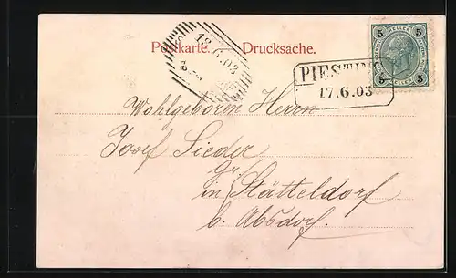 AK Piesting, Gesamtansicht mit Feldern