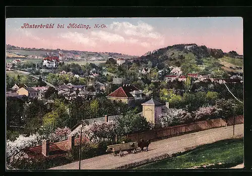 AK Hinterbrühl bei Mödling, Ortsansicht aus der Vogelschau