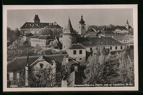 AK Horn, Ortsansicht aus der Vogelschau