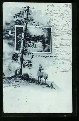 Mondschein-AK Mödling, Anninger-Schutzhaus, Rehe
