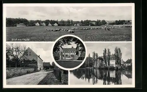 AK Heyda, Teilansicht und Hirte mit Schafen, Uferpartie, Ortspartie