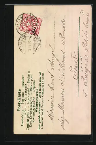 AK Junge in Tracht spielt auf einer Zither