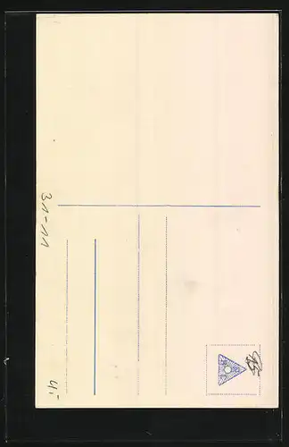 AK Mann in Tracht spielt auf einer Zither