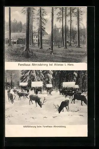 AK Altenau i. Harz, Forsthaus Ahrendsberg, Wildfütterung