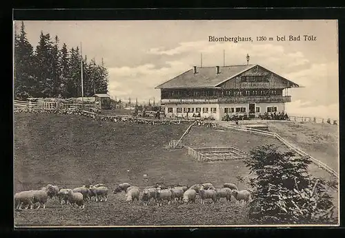 AK Bad Tölz, Blomberghaus mit weidenden Schafen