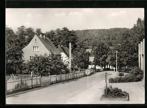 AK Hohburg b. Wurzen, Lindenstrasse