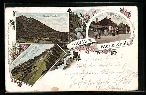 Lithographie Mariaschutz, Hotel Bellevue, Sonnwendstein mit Friedrich Schüler, Alpenhaus