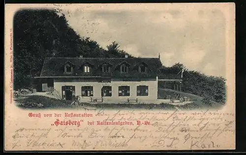 AK Kaltenleutgeben, Restauration Saisberg