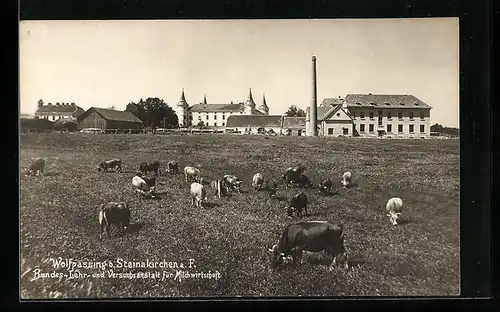 AK Wolfpassing b. Steinakirchen, Bundes-Lehr- und Versuchsanstalt für Milchwirtschaft