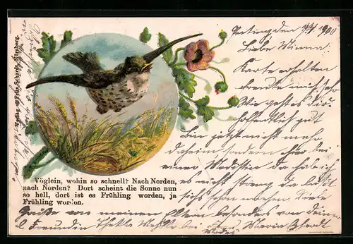 Lithographie Drossel im Flug über einem Feld