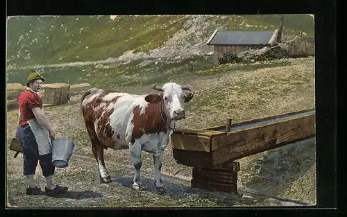 AK Almbäuerin mit Milcheimer und Kuh