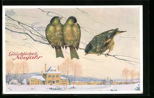 AK Singvögel auf Zweigen vor einem Haus, Neujahrsgruss