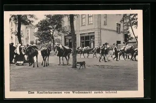 AK Maultierkarawane, vom Wochenmarkt zurückkehrend