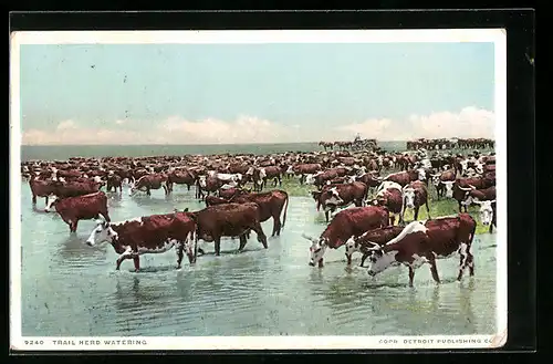 AK Detroit, Trail Herd Watering