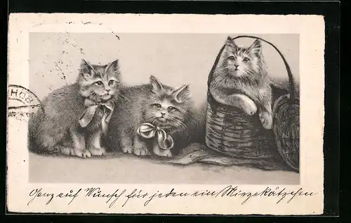 AK Drei junge Katzen mit Schleifen und Korb