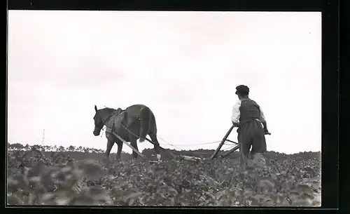 AK Pflügender Bauer mit Pferd