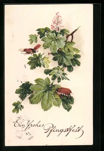 AK Maikäfer an Kastanienblättern, Pfingstgruss