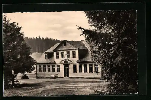 AK Stützerbach i. Thür. Wald, Gasthaus Auerhahn