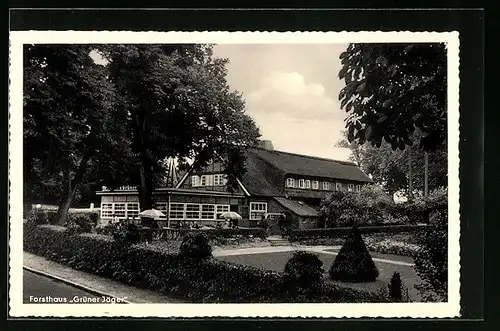 AK Geesthacht, Gasthaus-Forsthaus Grüner Jäger