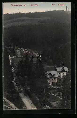 AK Kipsdorf / Sächs. Erzgeb., Gesamtansicht mit Bärenburger Tal