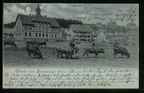 Mondschein-AK Braunlage / Harz, Gebäude von der Rinderweide aus gesehen
