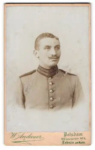 Fotografie W. Andauer, Potsdam, Alte Louisenstrasse 6, Gardesoldat mit Schnauzer in Uniform