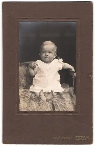 Fotografie Max Holdt, Pirna a. E., Garten-Strasse 31, Blondes Kleinkind auf einem Fell