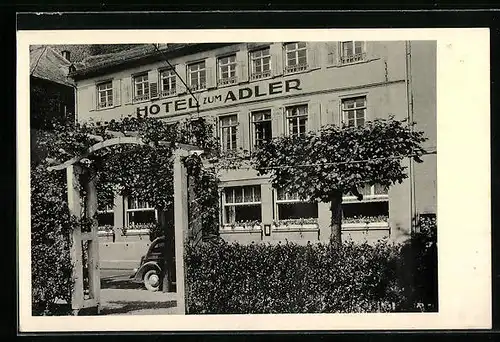 AK St. Goarshausen /Rhein, Hotel Zum Adler