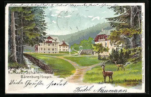 Lithographie Bärenburg /Erzgeb., Kurhaus Schäfermühle im Wald