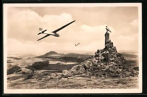 AK Fliegerdenkmal auf der Wasserkuppe, Segelflugzeuge