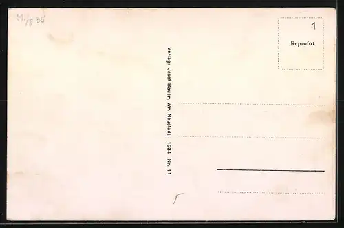 AK Wiener Neustadt, Hauptplatz mit Rathaus und Markt, Blick in die Neunkirchnerstrasse