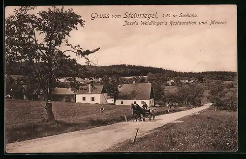 AK St. Andrä-Wördern, Gasthaus und Meierei Steinriegel mit Landstrasse