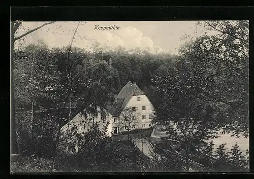 AK Dresden-Hosterwitz, Häuser im Wald