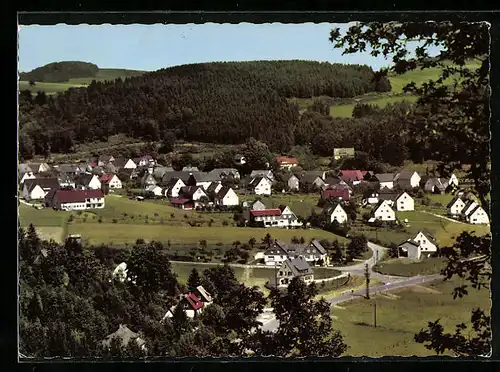 AK Liesen /Hochsauerland, Ortsansicht aus der Vogelschau