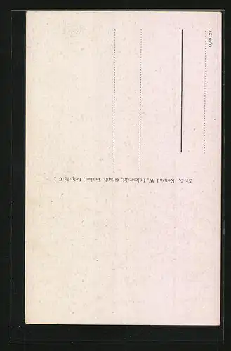 AK Demmin i. Pom., Kirche mit Rathaus