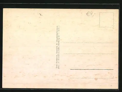 AK Tensfeld /Kr. Segeberg, Geschäftshaus Bombelka, Gut Muggesfelde, Ehrenmal