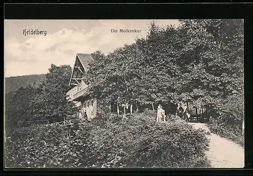 AK Heidelberg, Die Molkenkur