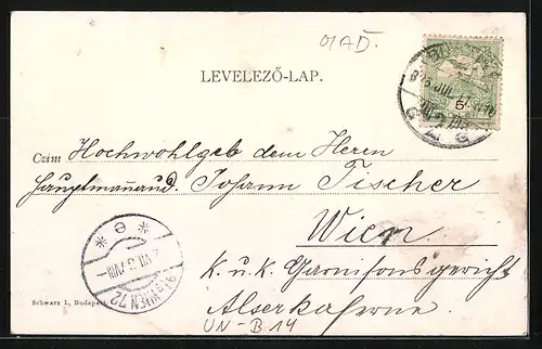 AK Budapest, Theil vom Stadtwäldchen