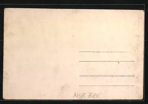 AK Breslau, Postscheckamt, Jahrhunderthalle, Rathaus, Liebichhöhe, Hauptbahnhof, Domstrasse