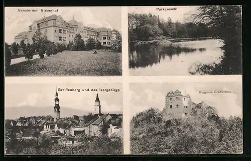 AK Greiffenberg i. Schl., Sanatorium Birkenhof, Burgruine Greiffenstein, Parkansicht