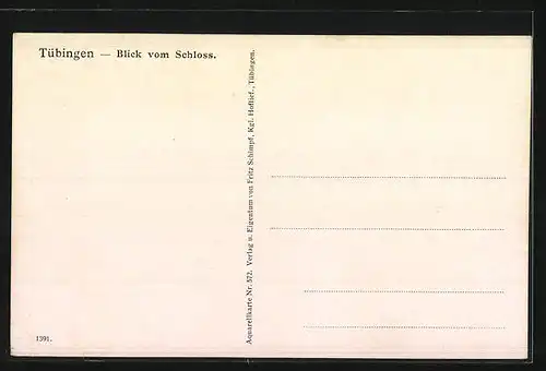 Künstler-AK J. Marschall: Tübingen, Blick vom Schloss auf den Ort