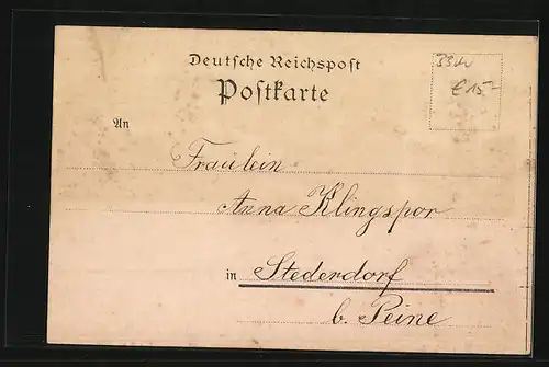 Lithographie Braunschweig, Totalansicht, Sieges-Denkmal, Hoftheater