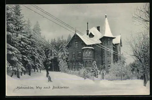 AK Hahnenklee, Hotel-Pension Villa Augusta am Weg nach Bockswiese im Winter