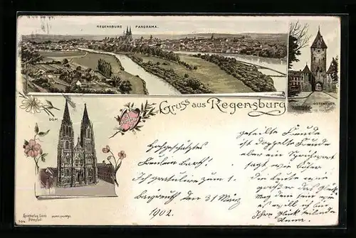 Lithographie Regensburg, Panorama der Stadt, Ostenthor, Wappen, Dom