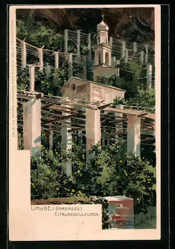 Künstler-AK Limone /Gardasee, Citronenculturen und Kirchlein