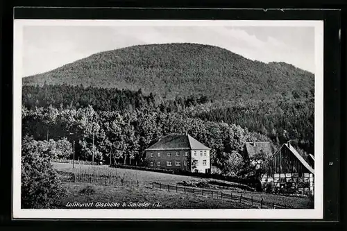 AK Glashütte bei Schieder, Pension Waldfrieden, Bewaldeter Berg